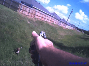 cleburn-texas-maximus