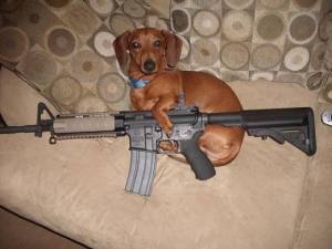 doggun